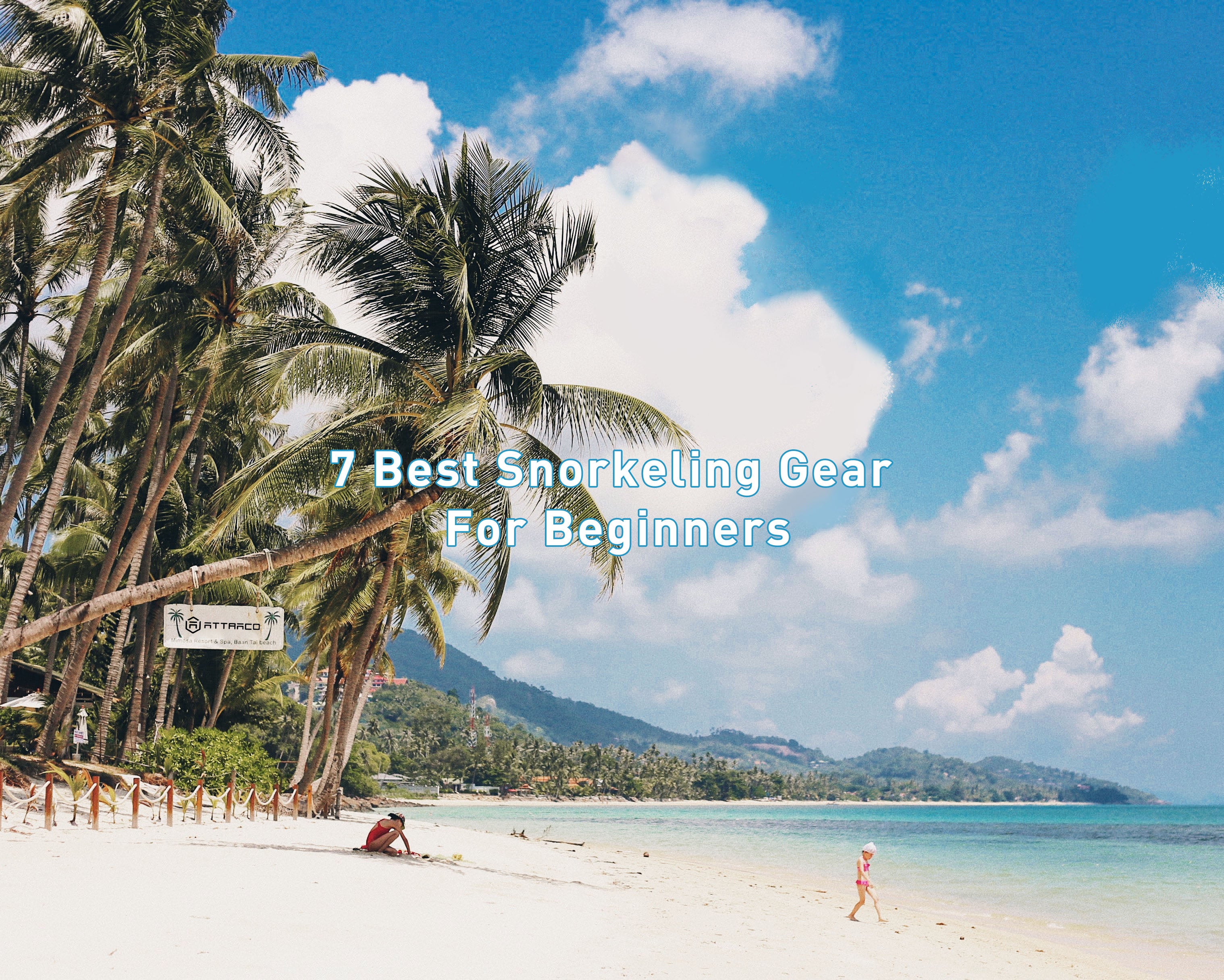 7 Best Snorkeling Gear For Beginners