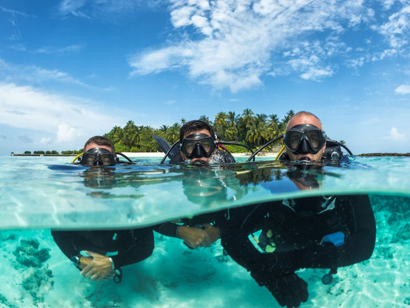 Rash Guard Trendspotting in 2022 – Attraco